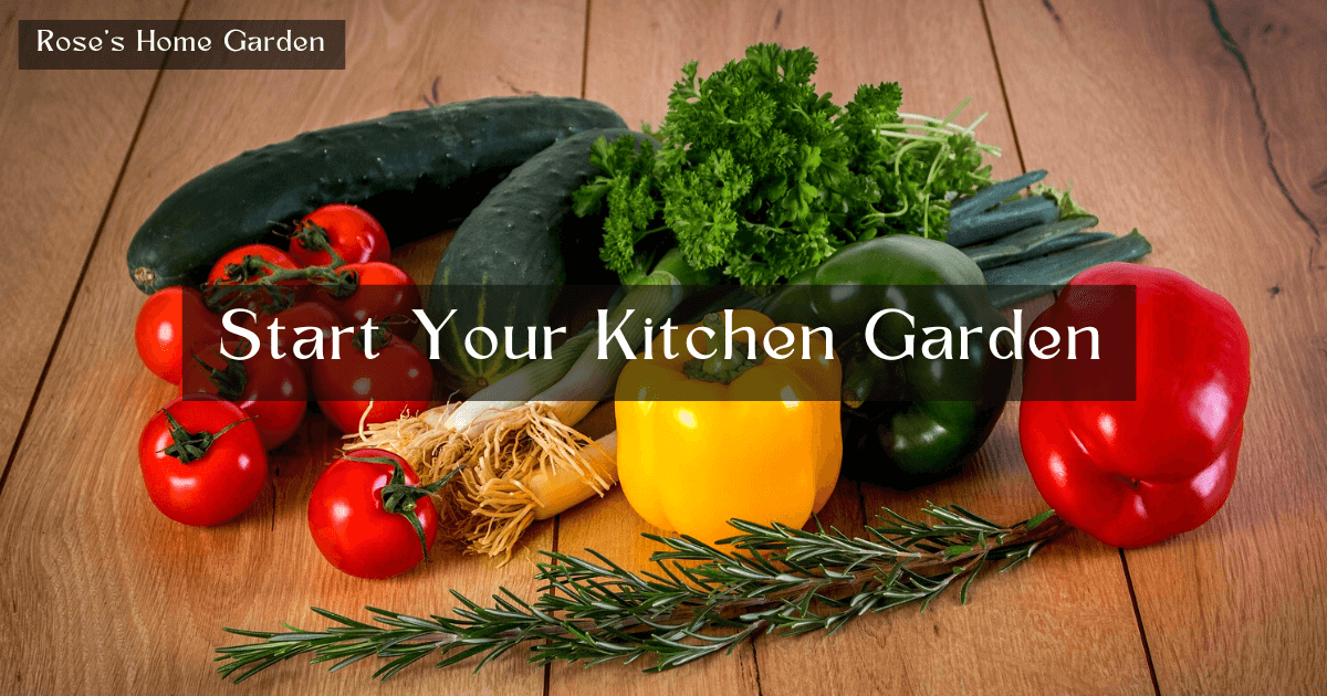 Start-Your-Kitchen-Garden