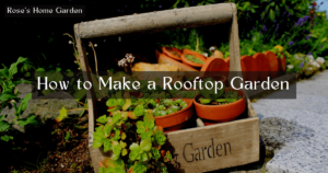how-to-make-a-rooftop-garden