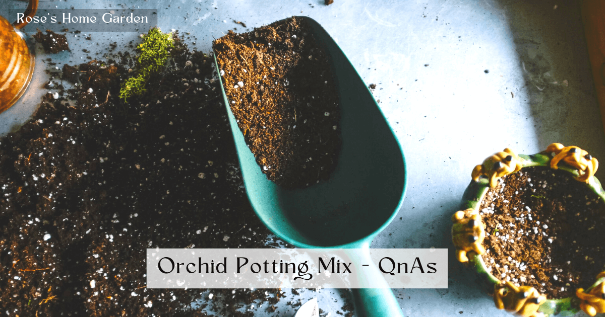 How-Is-Orchid-Potting-Mix-Different