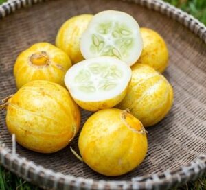 Grow Lemon Cucumbers in a Pot